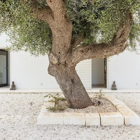 Casa Margot 아파트 *