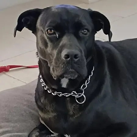 Casa Margot カロヴィーニョ