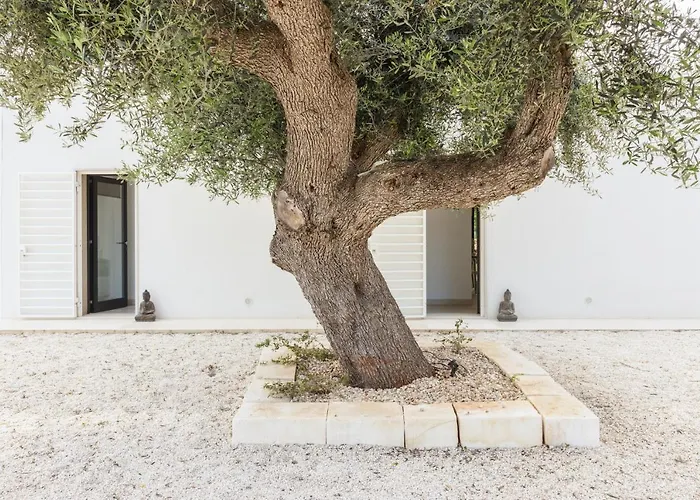 Casa Margot 아파트 *